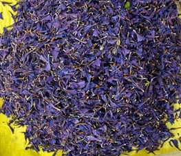 گل‌ گاو...
